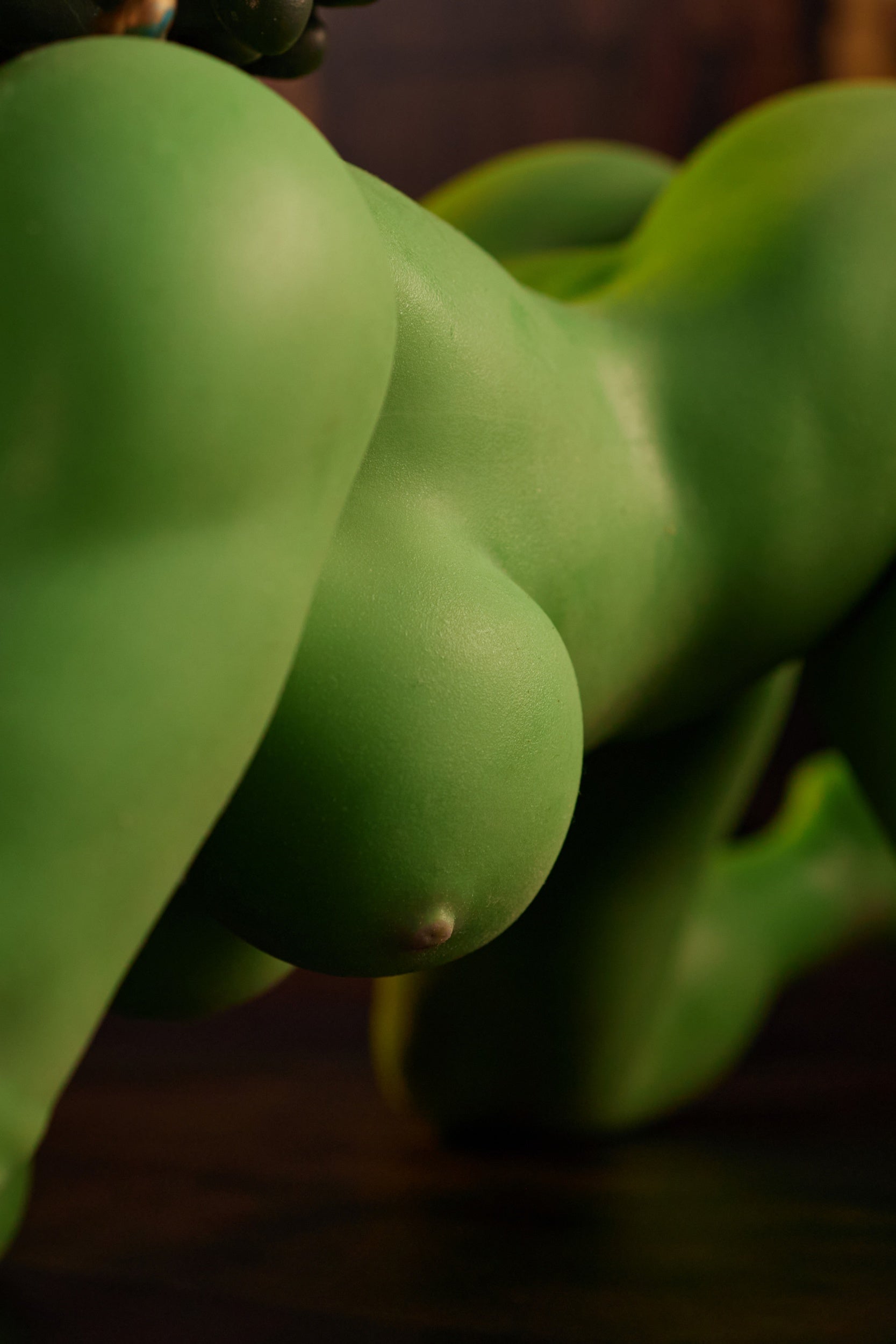 70cm Goblin Style Full Silicone Adult Doll Si70cm AT Green Skin